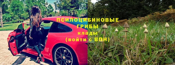 каннабис Богородицк